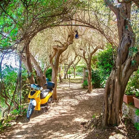 Villa Sul Mare A Capri - Panorama Mozzafiato *