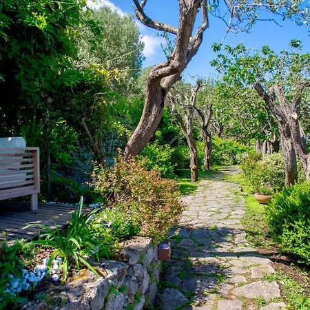 Sul Mare A Capri - Panorama Mozzafiato