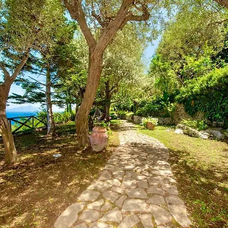 Sul Mare A Capri - Panorama Mozzafiato *