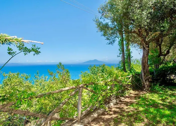 Sul Mare A Capri - Panorama Mozzafiato *