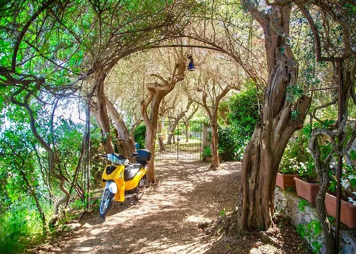 Sul Mare A Capri - Panorama Mozzafiato *