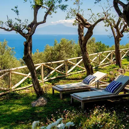 Vila Sul Mare A Capri - Panorama Mozzafiato *